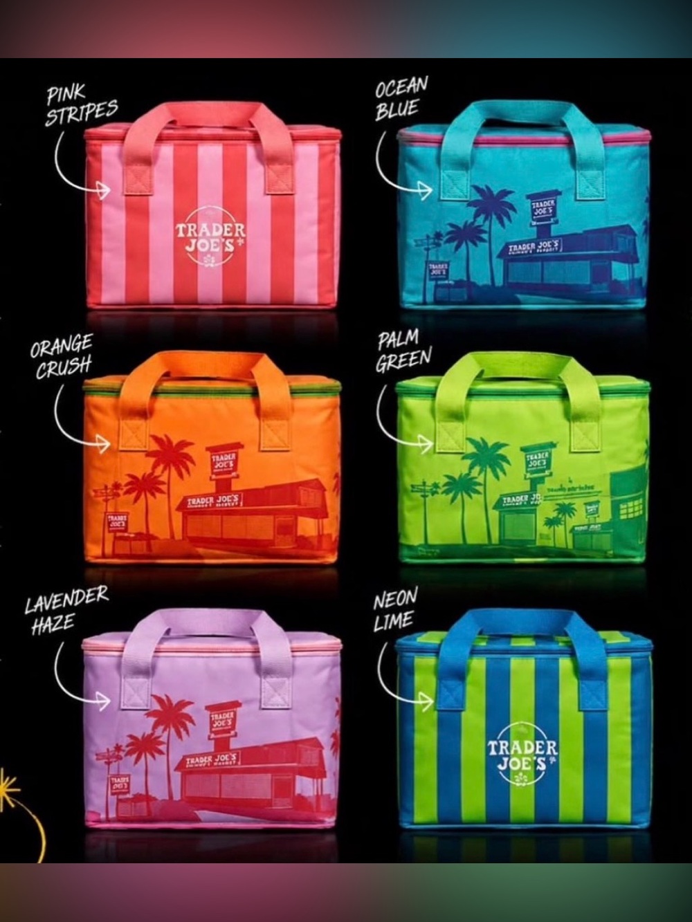 Trader Joe's Mini Insulated Tote Bag Summer Collection Complete Set of 6 NEW